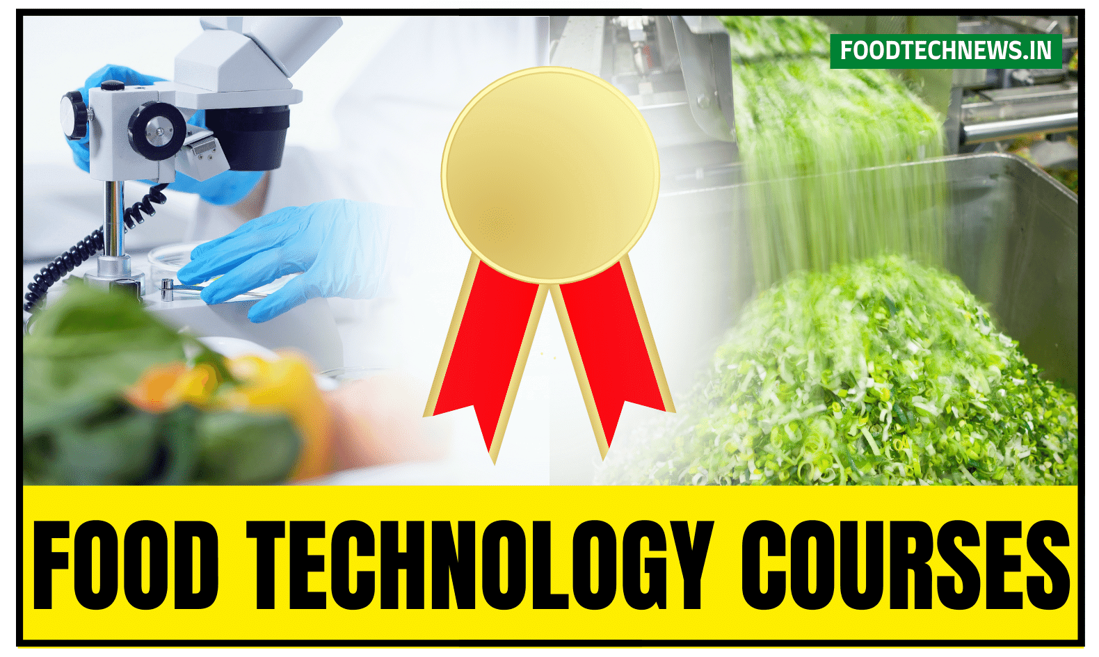 Courses Food Tech NEWS