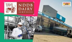 Government Job Vacancy For qualified Dairy Technologist, as Production Executive at NDDB-WAMUL Office, Guwahati, Assam.