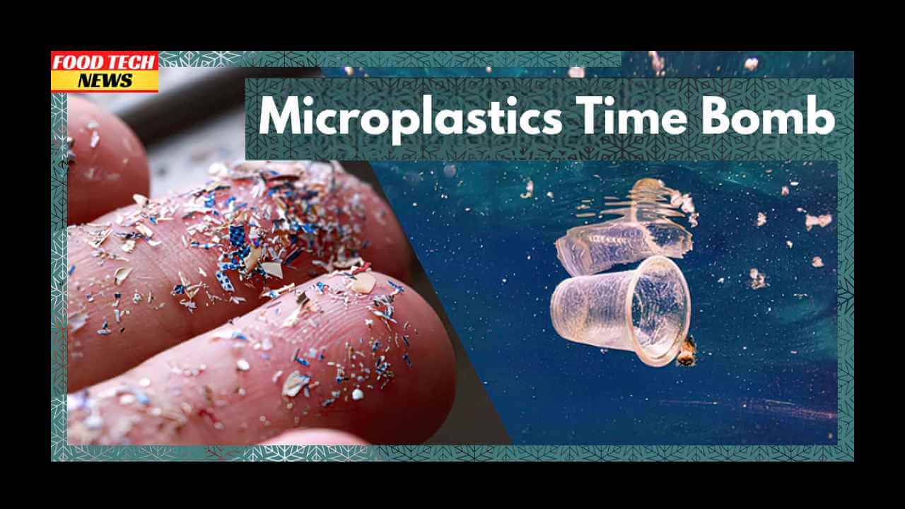 Microplastics Time Bomb Why Reusing Plastic Bottles is Not a Good Idea