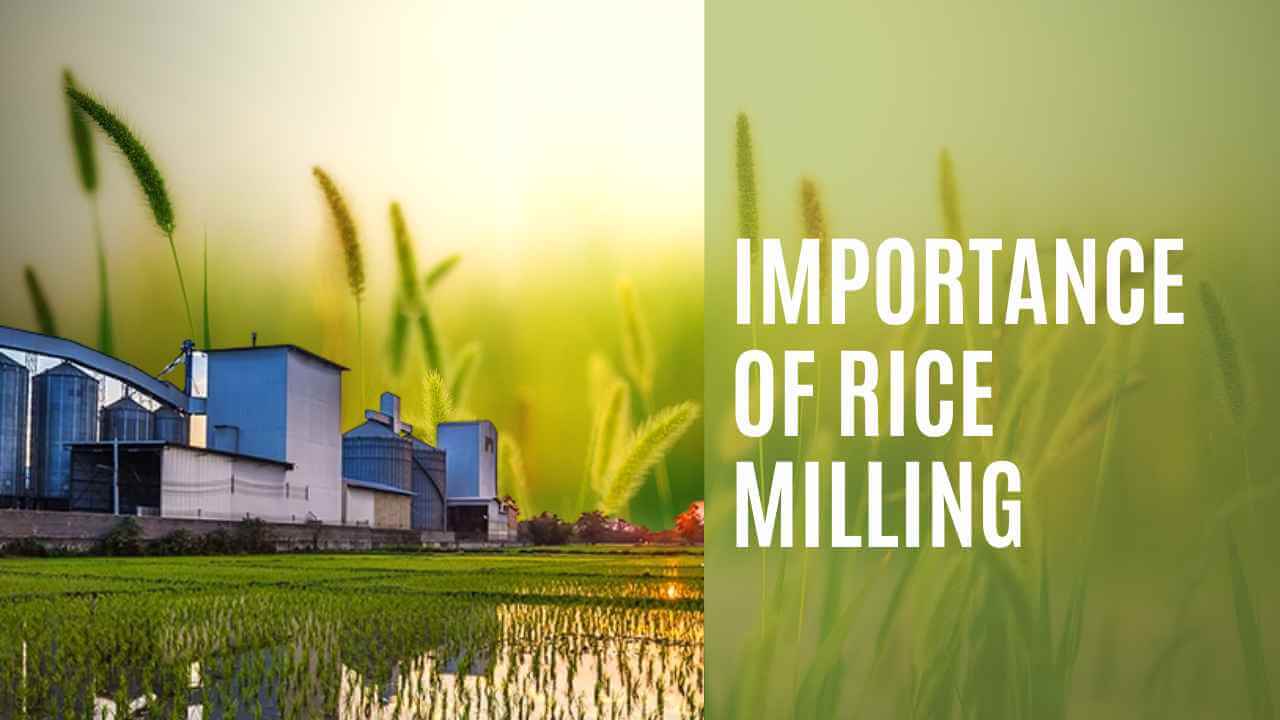 rice-milling-food-tech-news