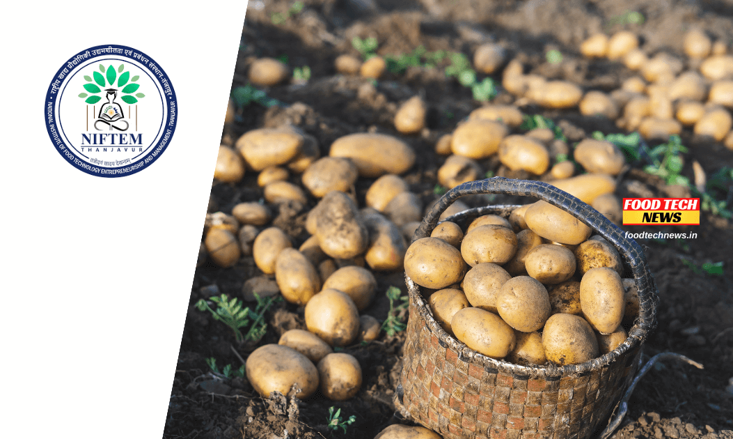 NIFTEM FREE Webinar - Tuber Crops Processing & Value Addition - Food ...