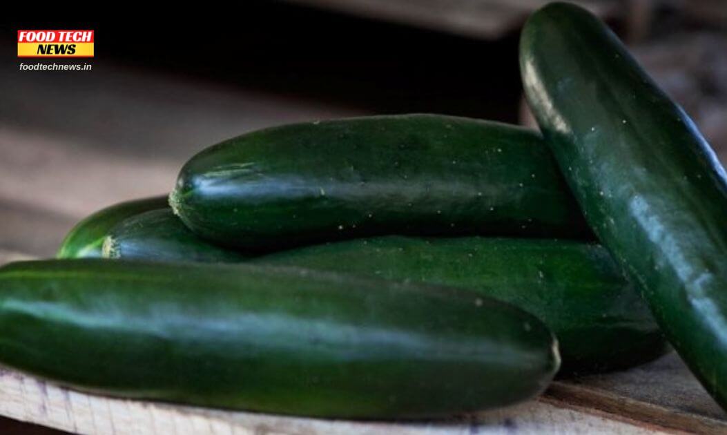 Salmonella Risk Prompts Recall Of Cucumbers In 14 States - Food Tech NEWS