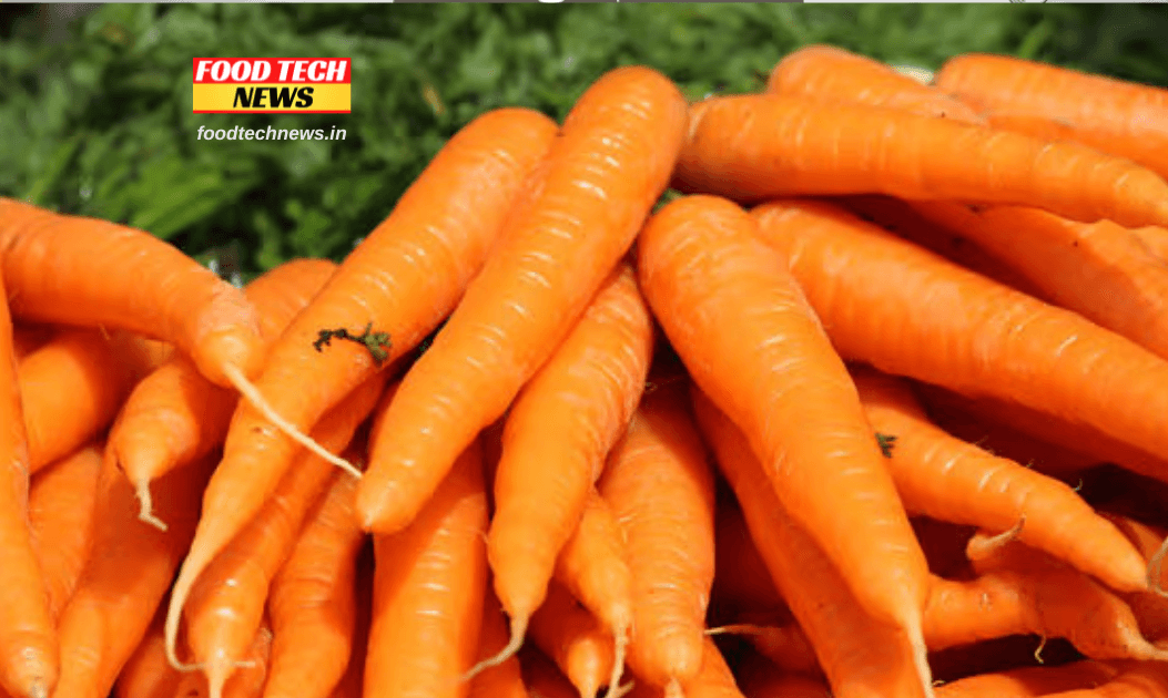 Canada Recalls Carrots linked to a Deadly E. coli Outbreak Impacting the U.S Food Tech NEWS